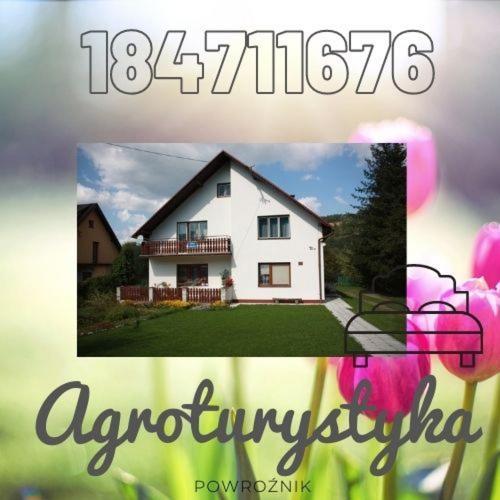 Agroturystyka Elzbieta I Juliusz موشينا المظهر الخارجي الصورة